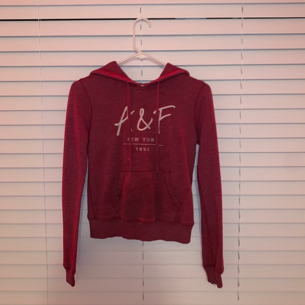 Abercrombie and Fitch Hoodie